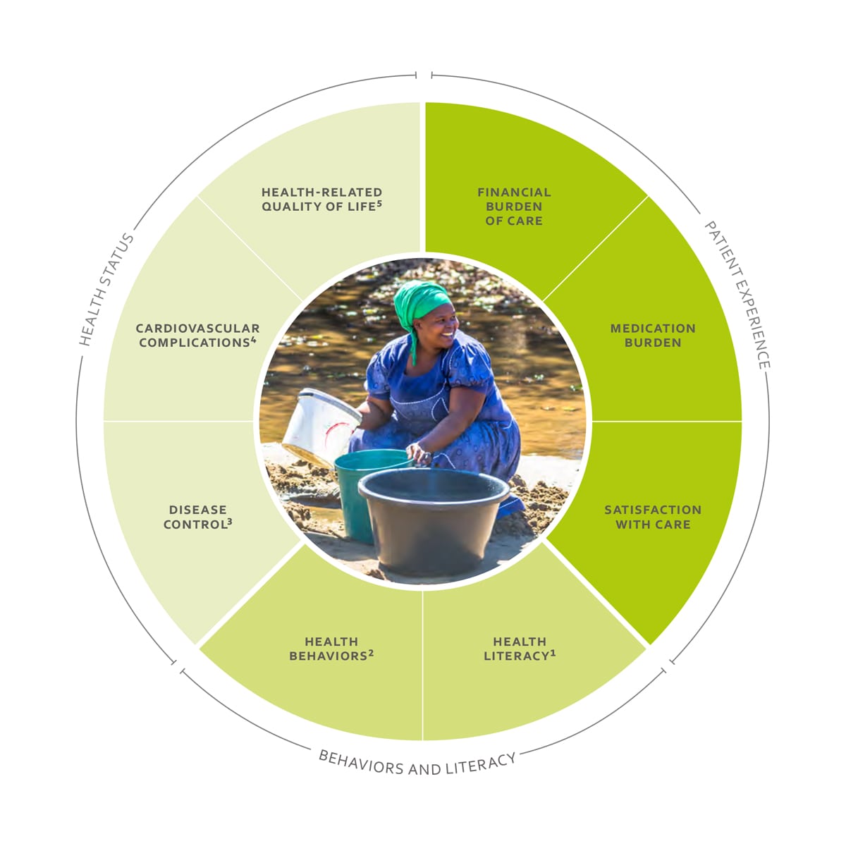 ICHOM Standard Sets Hypertension in Low- and Middle - Income Countries Outcomes Wheel