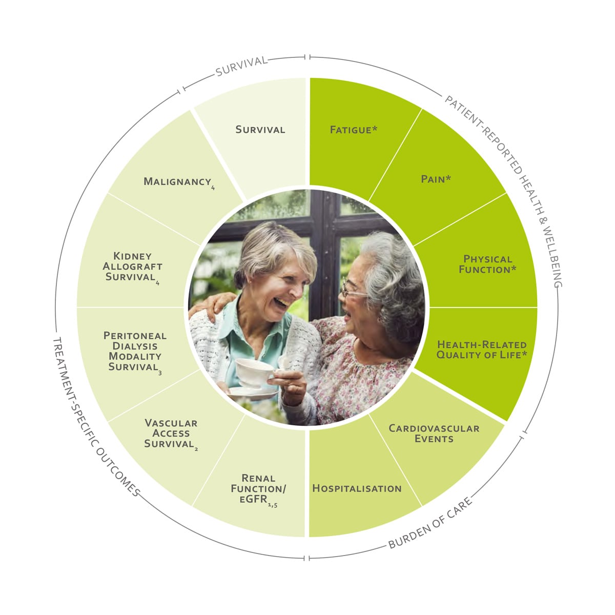ICHOM Standard Sets Chronic Kidney Disease Outcomes Wheel