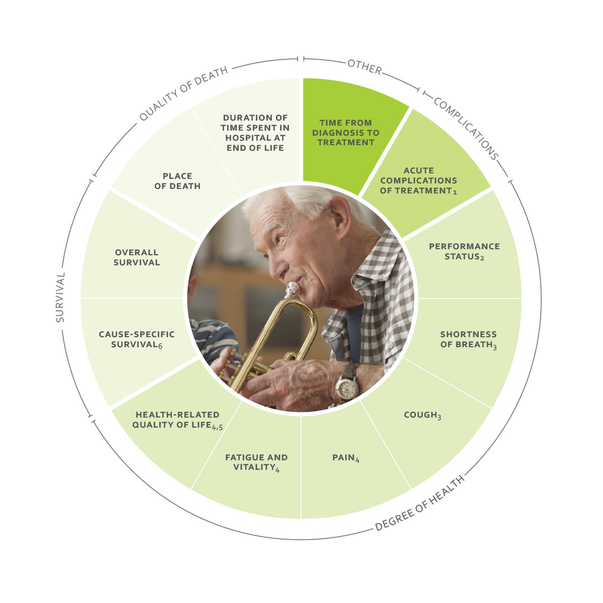 ICHOM Standard Sets Lung Cancer Outcomes Wheel