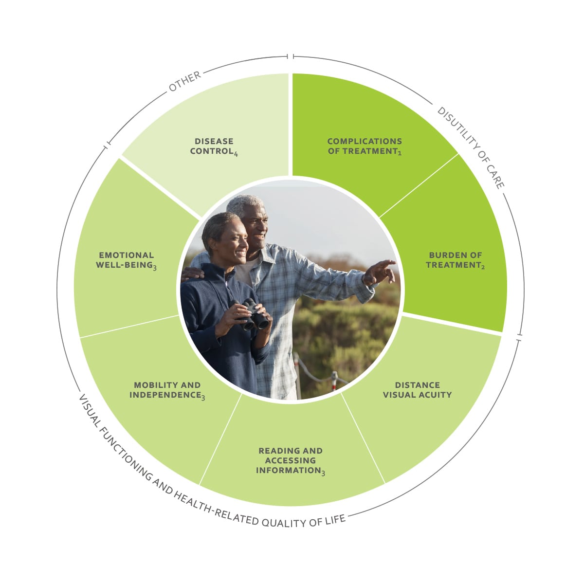 ICHOM Standard Sets Macular Degeneration Outcomes Wheel
