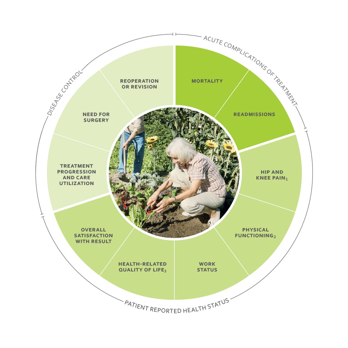 ICHOM Standard Sets Hip and Knee Osteoarthritis Outcomes Wheel